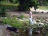 DSCF0560.jpg
