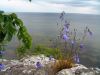 DSCF0587.jpg
