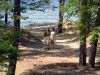 DSCF0628.jpg