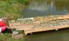 DSCF4735.jpg