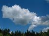 DSCF4795.jpg