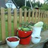 DSCF4902.jpg