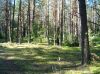 DSCF4948.jpg