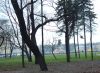 DSCF7251.jpg