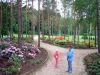 DSCF7703.jpg