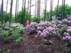 DSCF7706.jpg