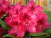 DSCF7728.jpg