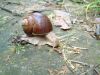 DSCF7848.jpg