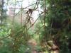 DSCF7851.jpg