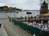 DSCF7915.jpg