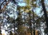 P1010118.jpg