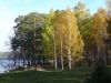 P1010123.jpg