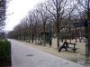 Parkelis--viesbucio-apylink.jpg